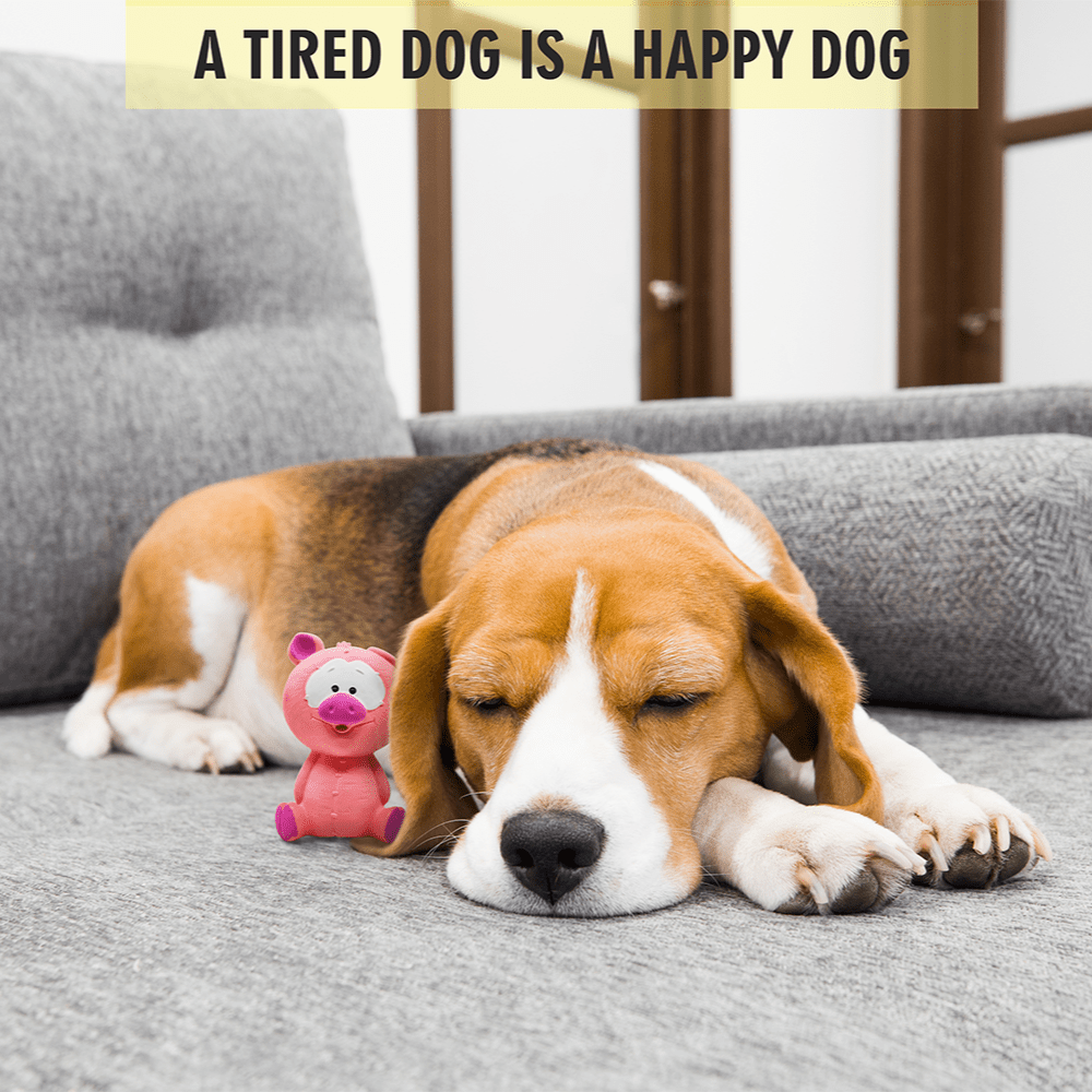 Barkbutler x Fofos Latex Bi Small Pig Toy for Dogs image 6