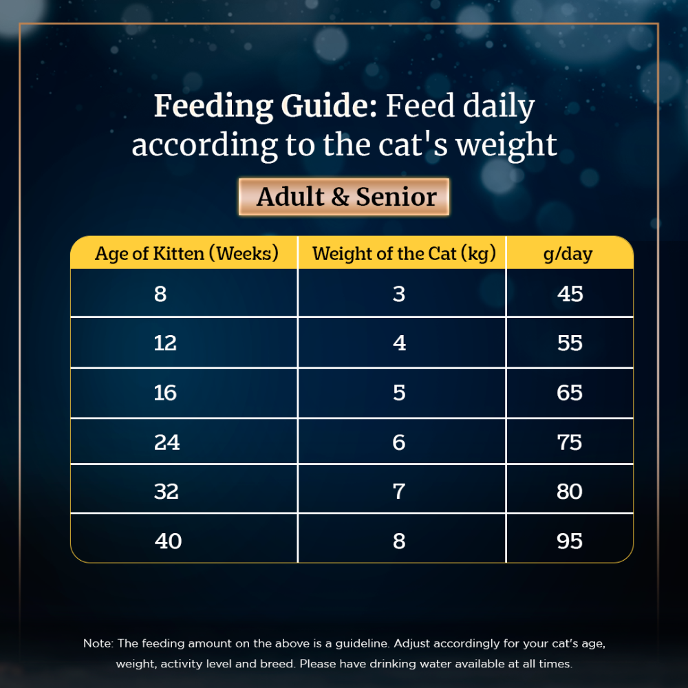 Sheba Salmon Flavour Irresistible All Life Stages Cat Dry Food image 7