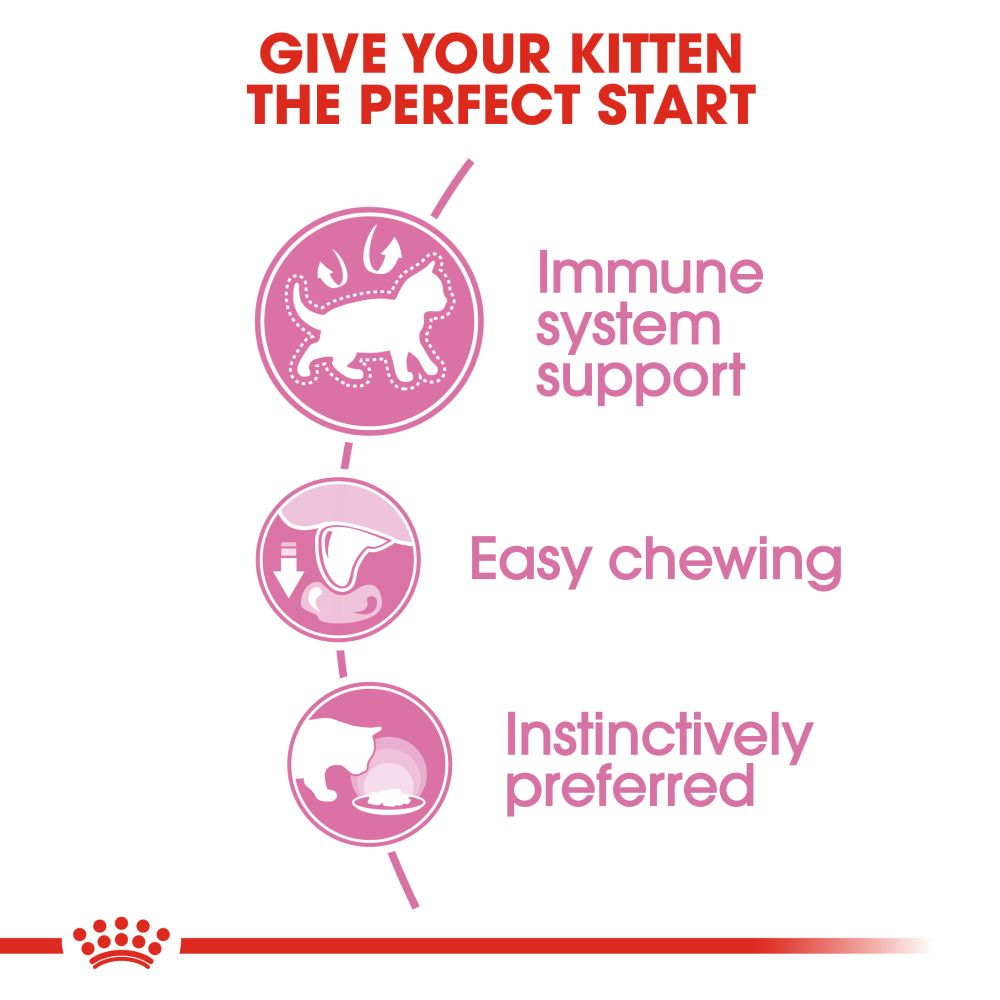 Royal Canin Kitten Jelly and Kitten Loaf Cat Wet Food Combo image 9