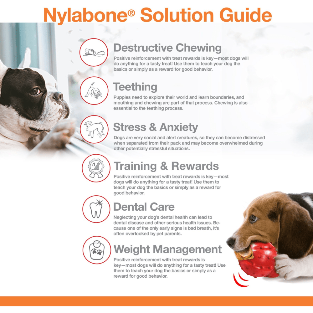 Nylabone Bacon Flavoured Power Chew Bone (Brown) image 4