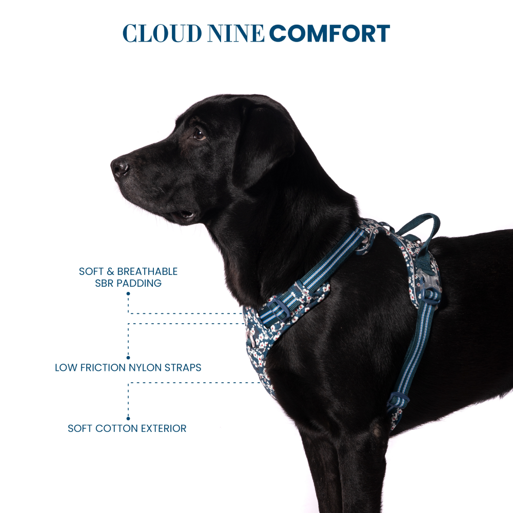 Truelove Floral No Pull 3M Reflective Harness for Dogs (Saxony Blue) image 6
