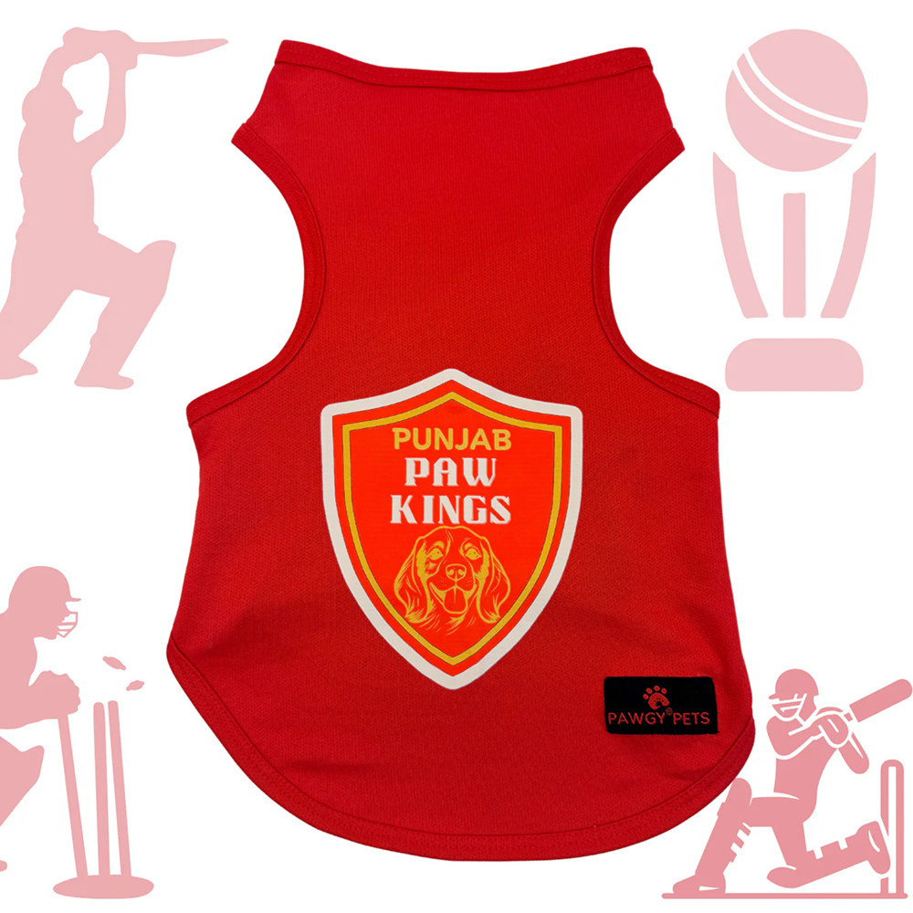 Punjab Paw Kings ipl Jersey for Dogs and Cats | Indian Pet League