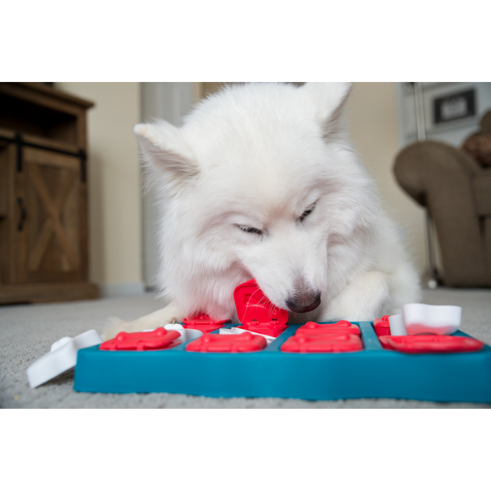 Outward Hound Nina Ottosson Brick Game for Dogs (Blue Level 2 Intermediate) | For Medium Chewers image 9