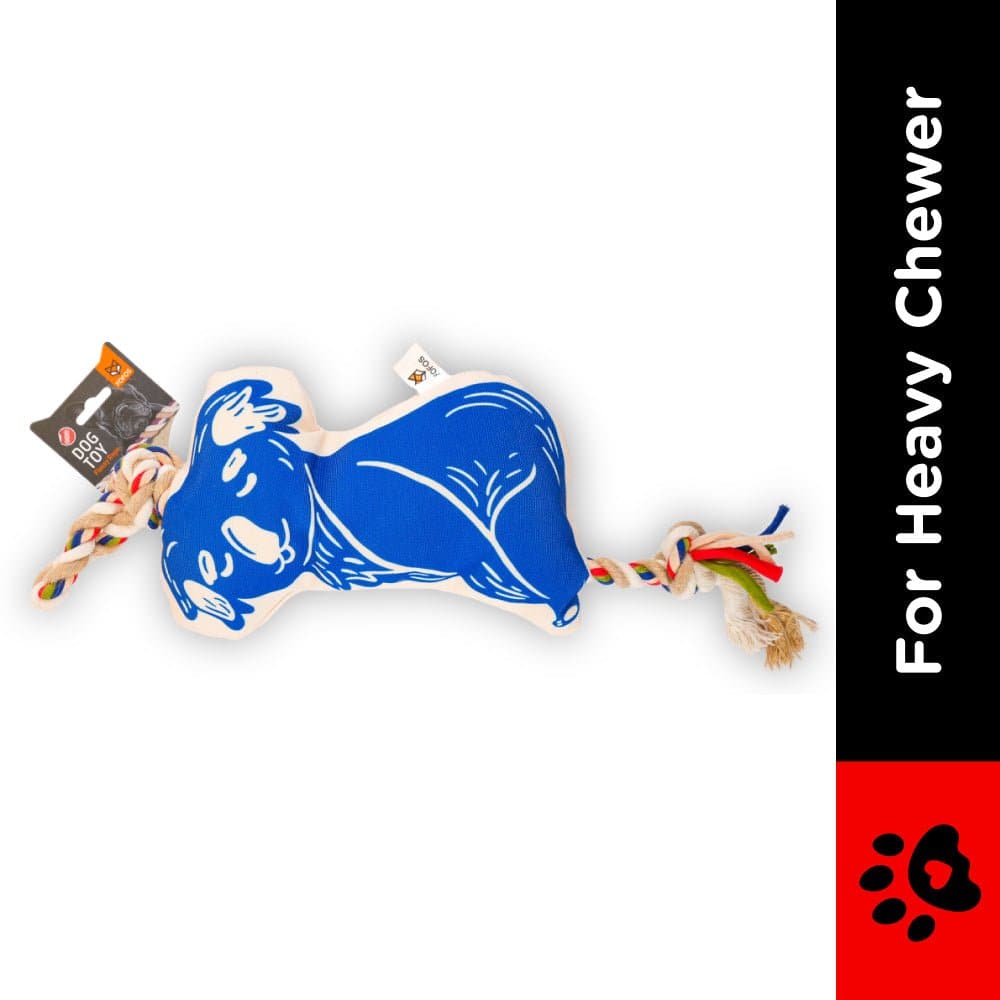 Barkbutler x Fofos Flossy Rope Toy With Koala for Dogs image 2