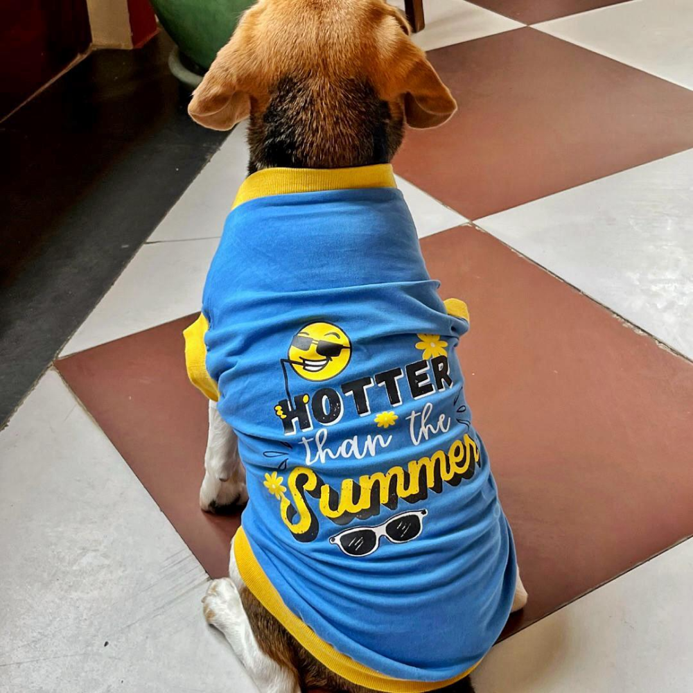 Pet Set Go Hotter Than The Summer Sleeveless T Shirt for Dog (Blue) image 3