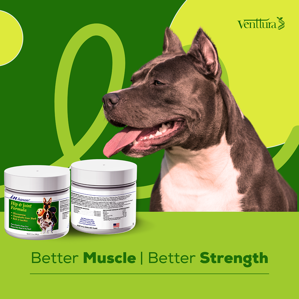 Venttura Inhancer Hip & Joint Soft Nuggets Supplements for Dogs image 5