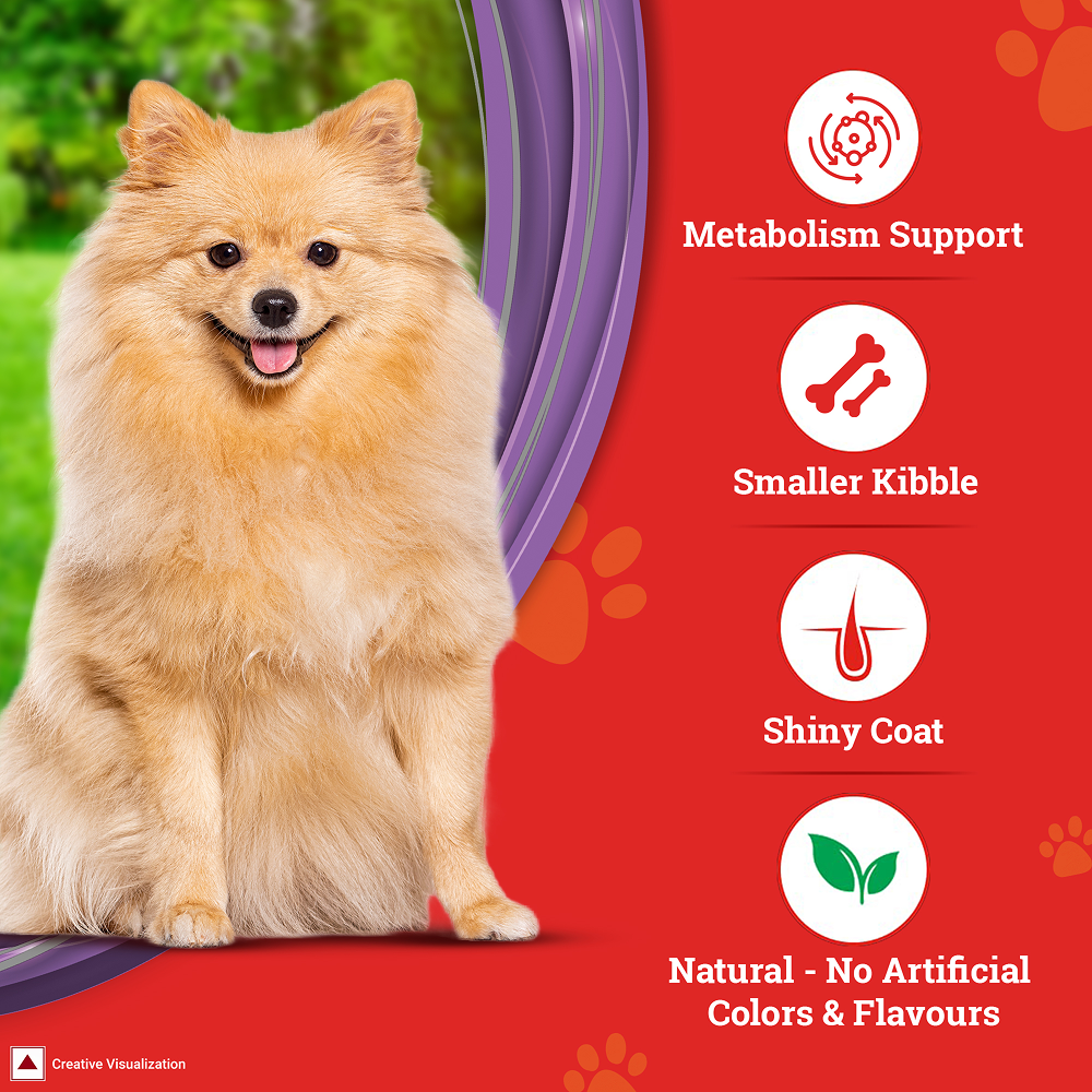 Purina SuperCoat Chicken Adult Small Breed Dog Dry Food image 6