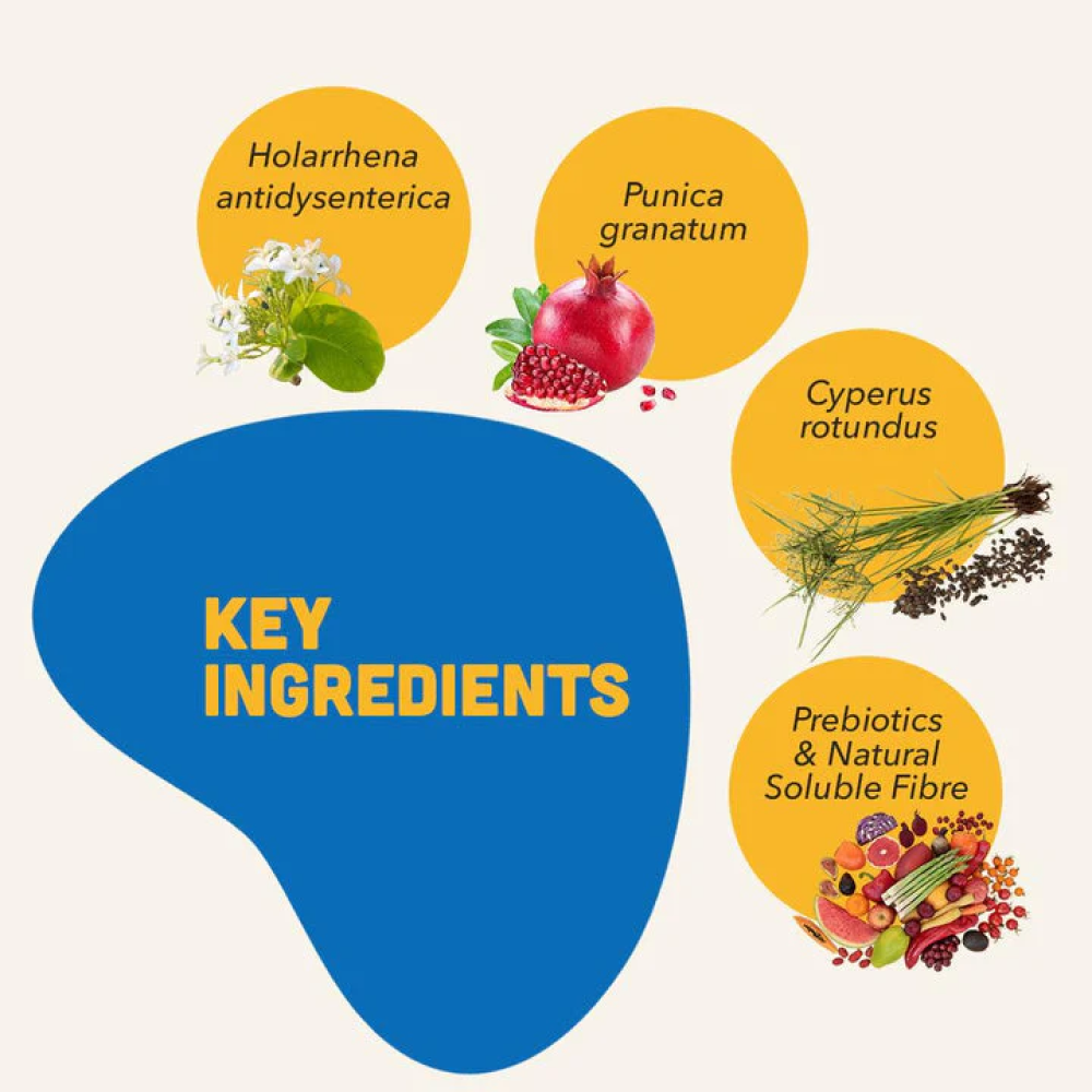 Natural Remedies Natgut Digestive Tablets for Dogs and Cats image 3