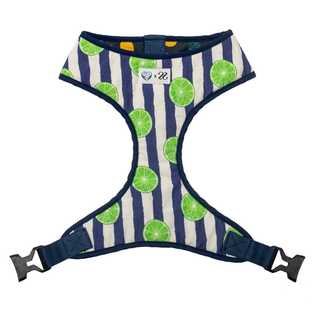 Pet And Parents Fresh Fruit Reversible Harness for Dogs image 4