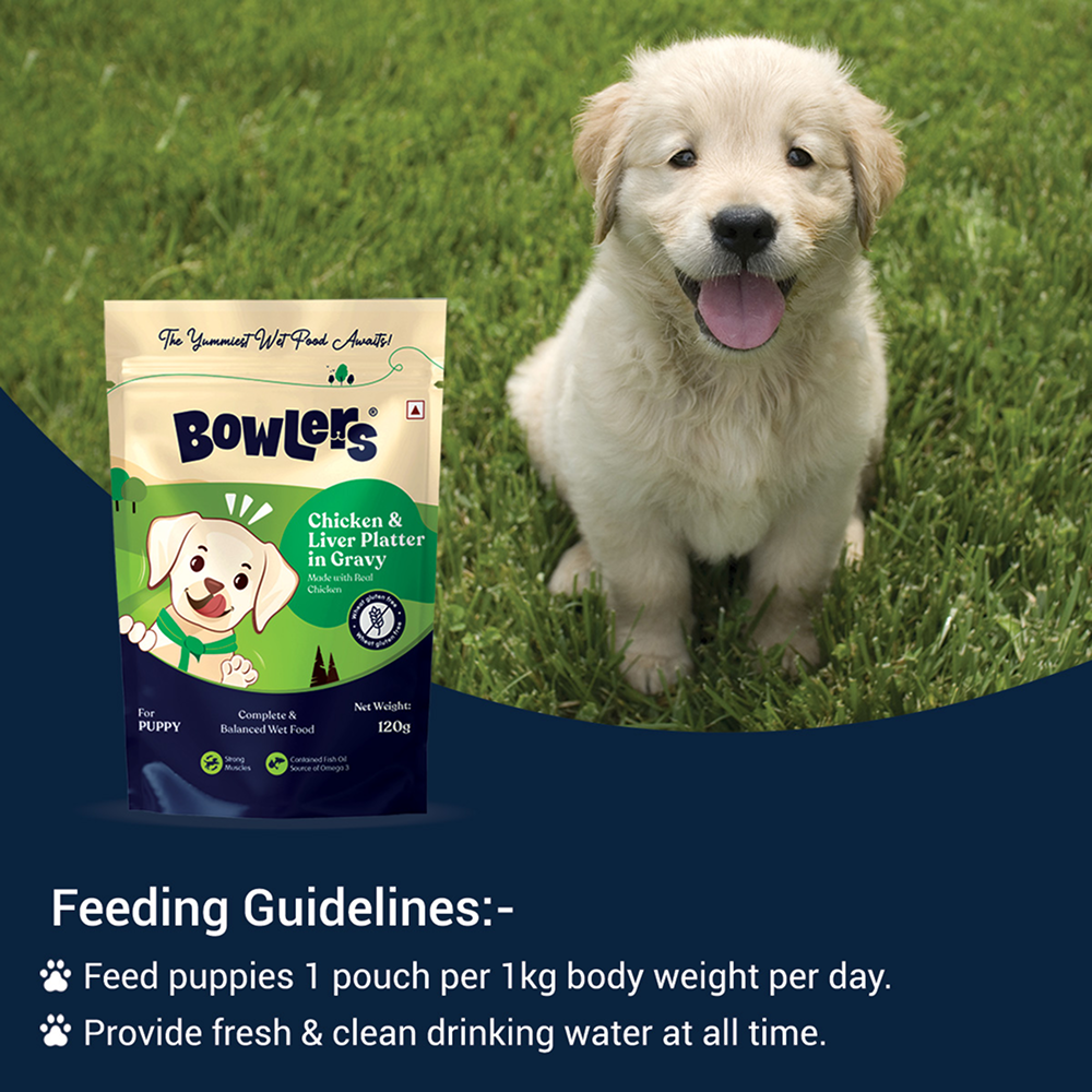 Bowlers Chicken and Liver Recipe in Gravy Puppy Dog Wet Food image 5