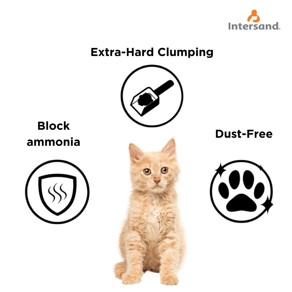 Intersand Scented Odour Lock Calming Baby Powder Cat Litter image 2