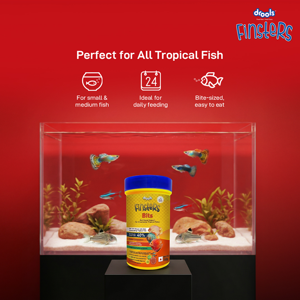 Drools Finsters Bits Fish Food image 9