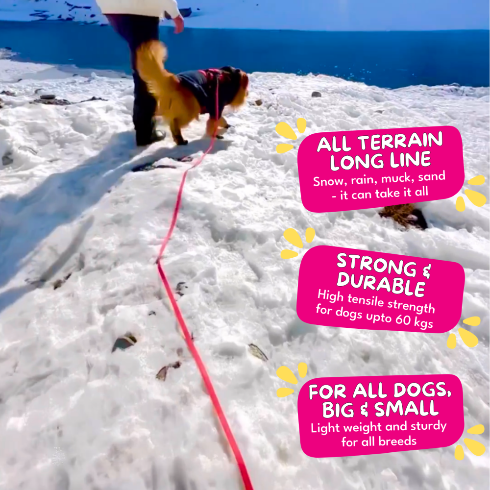 For The Love Of Dogs Long Lines Leash for Dogs (Hot Pink) image 3