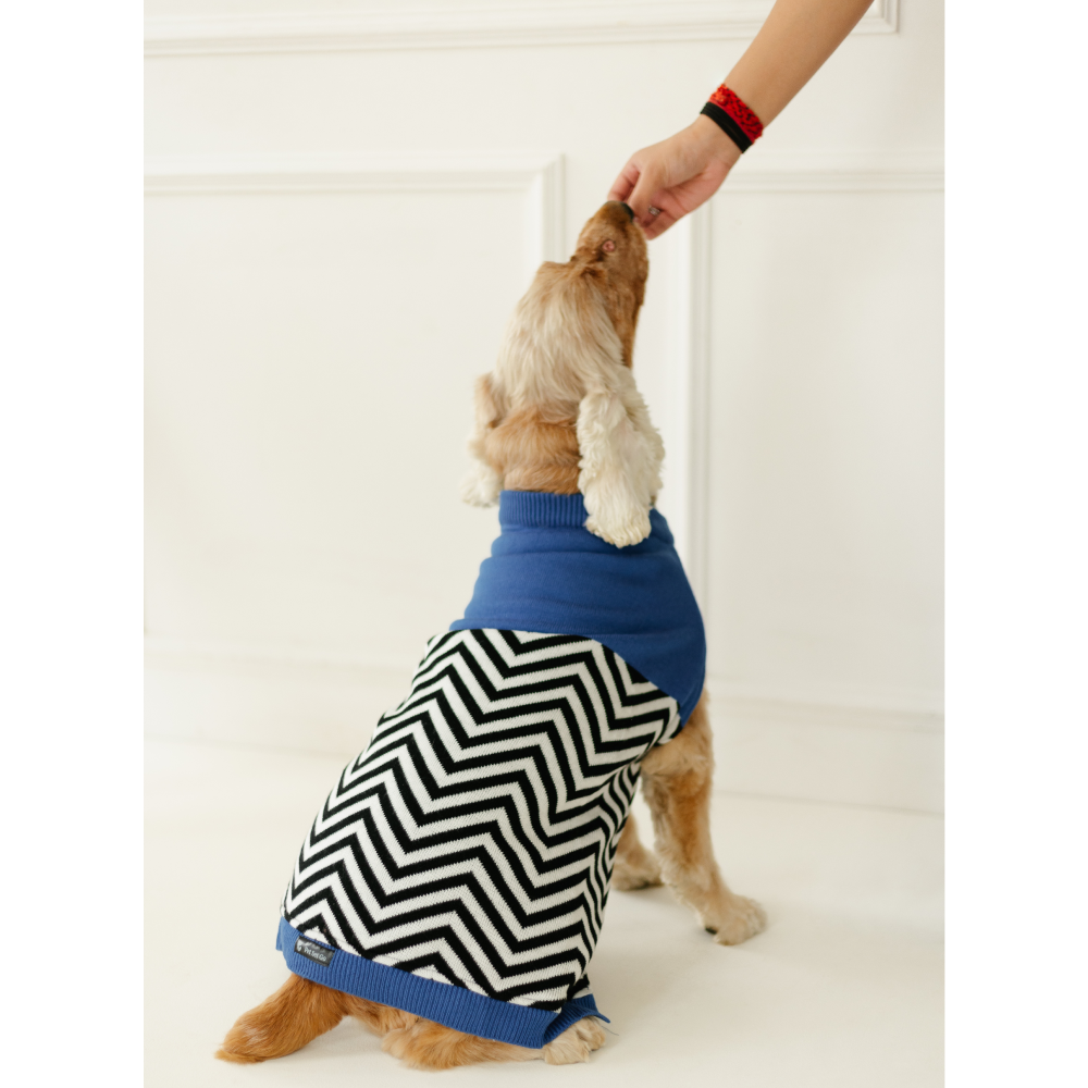 Pet Set Go Raisin’s Sweater for Dogs and Cats (Blue & Black) image 3