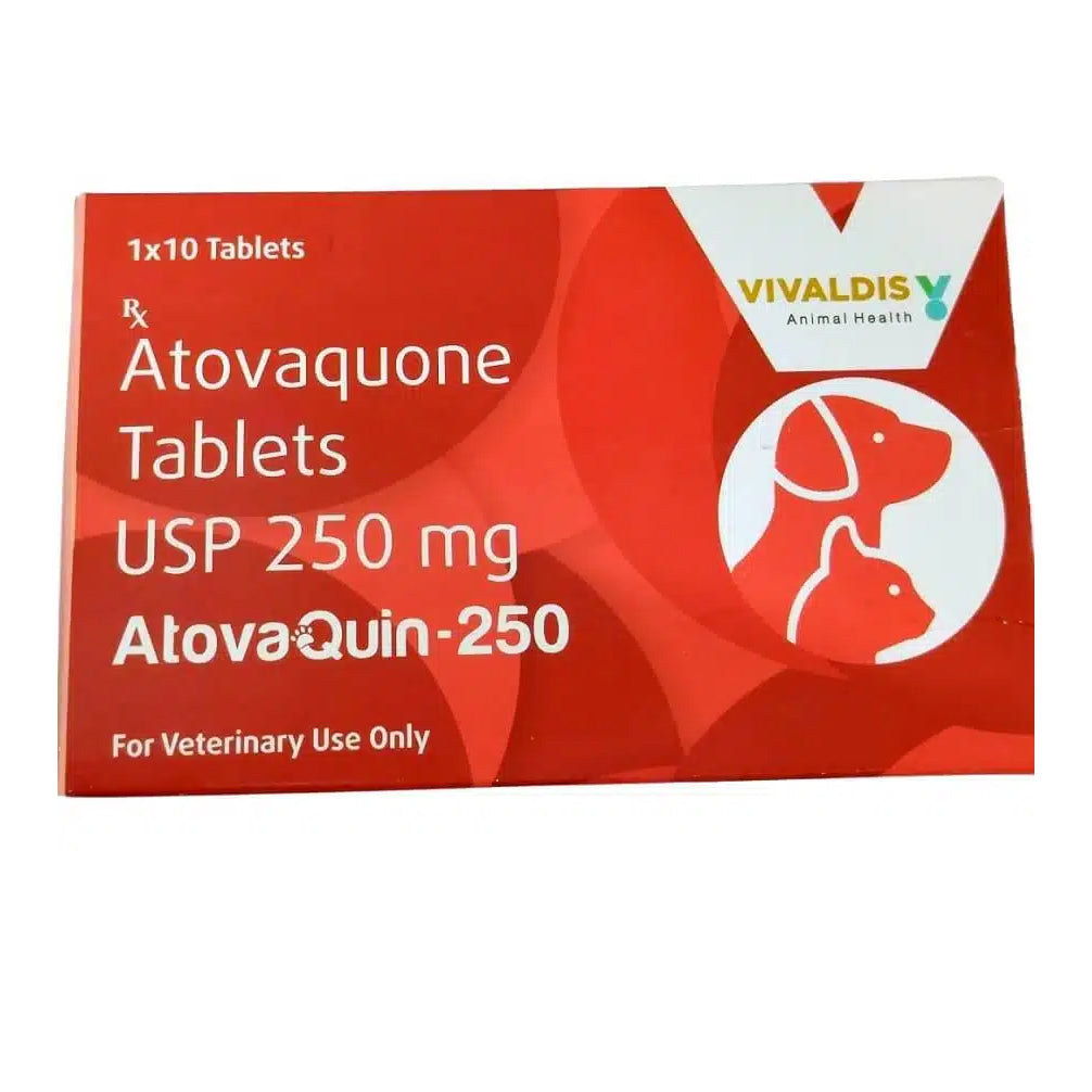 Vivaldis Atovaquin 250mg Tablets (Atovaquone) for Dogs & Cats