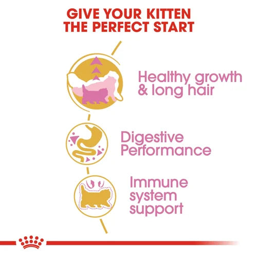 Royal Canin Persian Kitten Food Dry Cat Food image 2