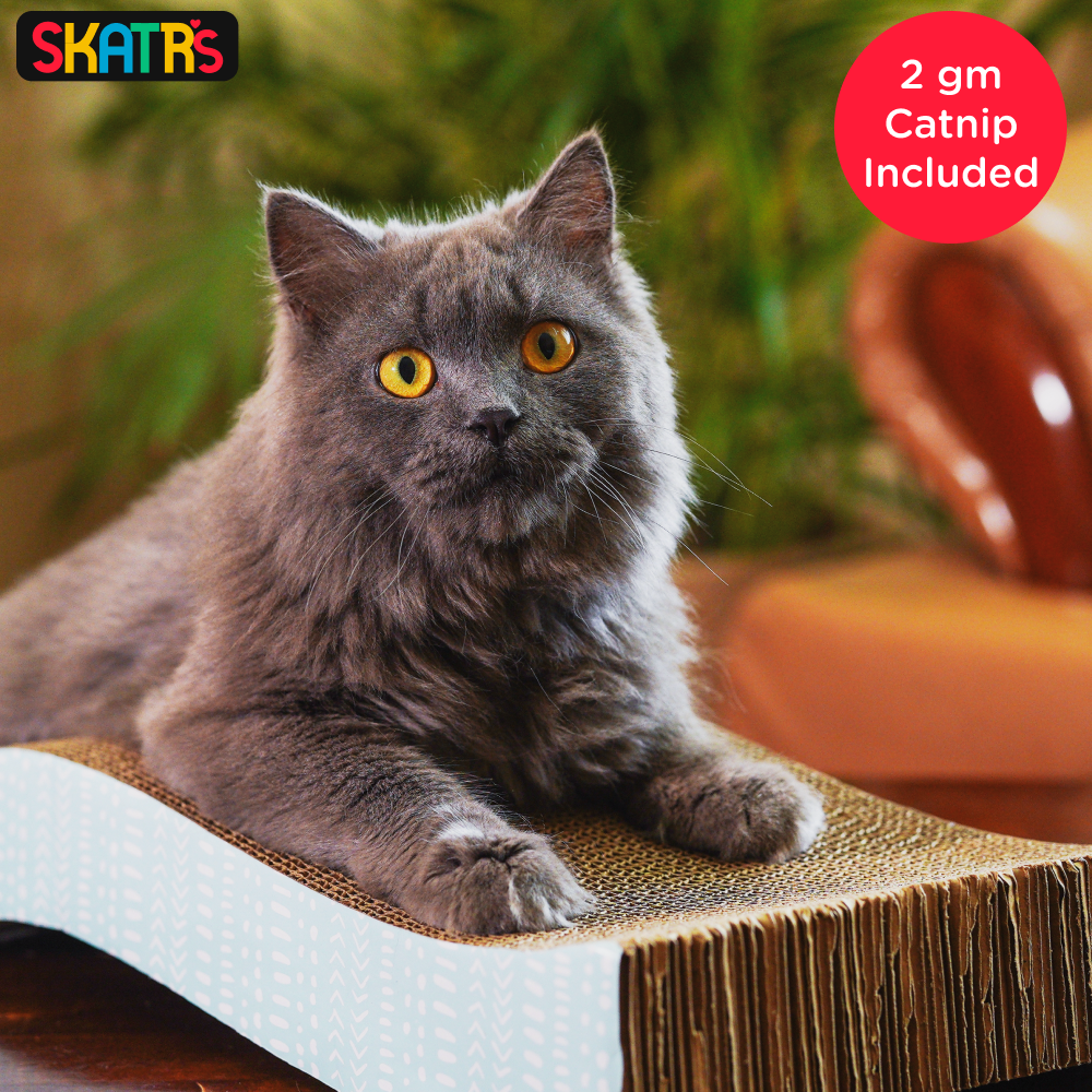 Skatrs Purrfect Wave Cat Scratcher with 2g Premium Catnip Free image 4