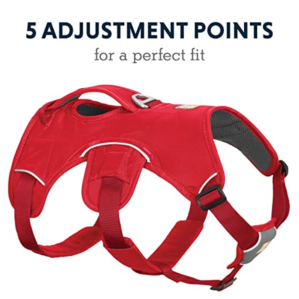 Ruffwear Webmaster Harness for Dogs (Red Currant) image 4