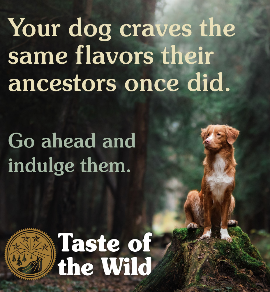 Taste of the Wild Wetlands Canine Recipe with Roasted Fowl Adult Dog Dry Food | Grain Free Formula image 4