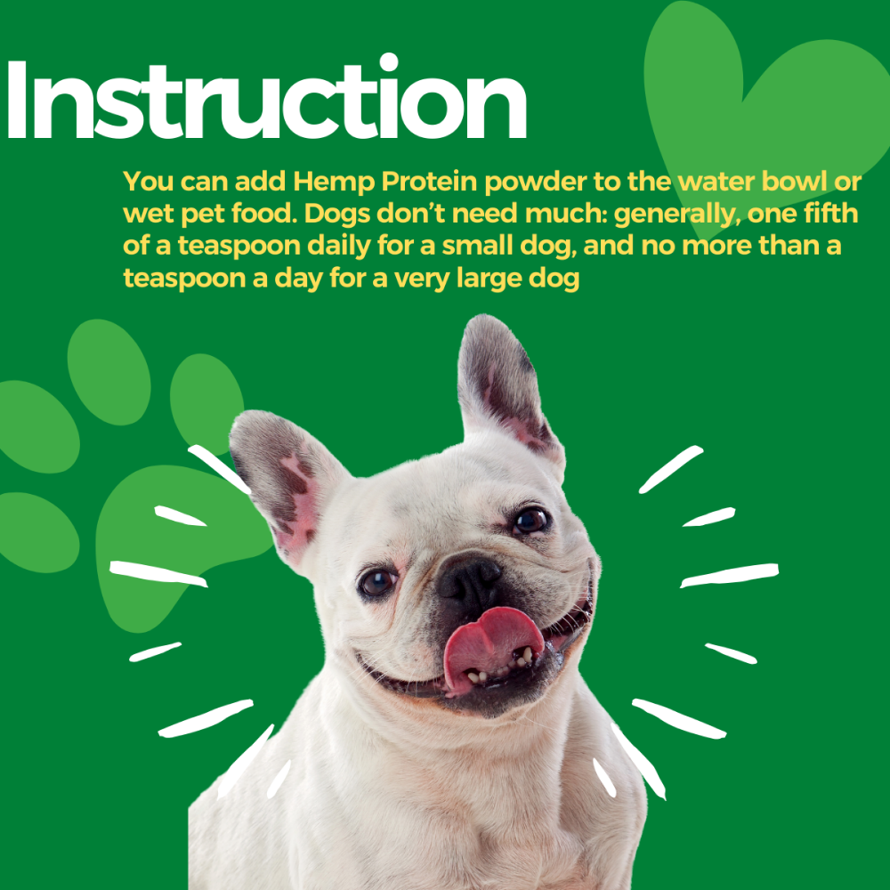 Healing Leaf Hemp Protein Powder for Dogs and Cats image 5