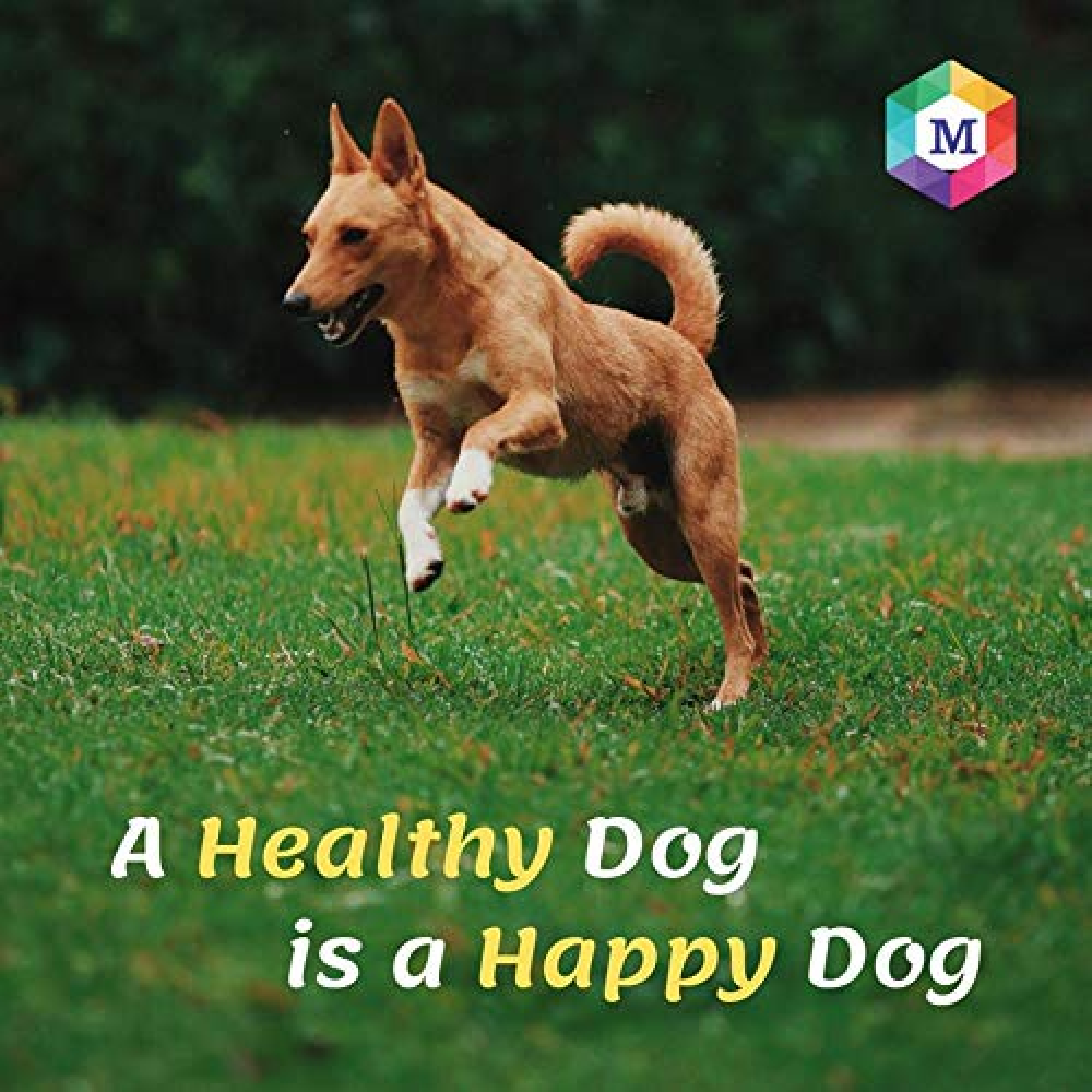Medfly Healthcare Vitaboost for Dogs and Cats (Pack of 60 Tablets) image 7
