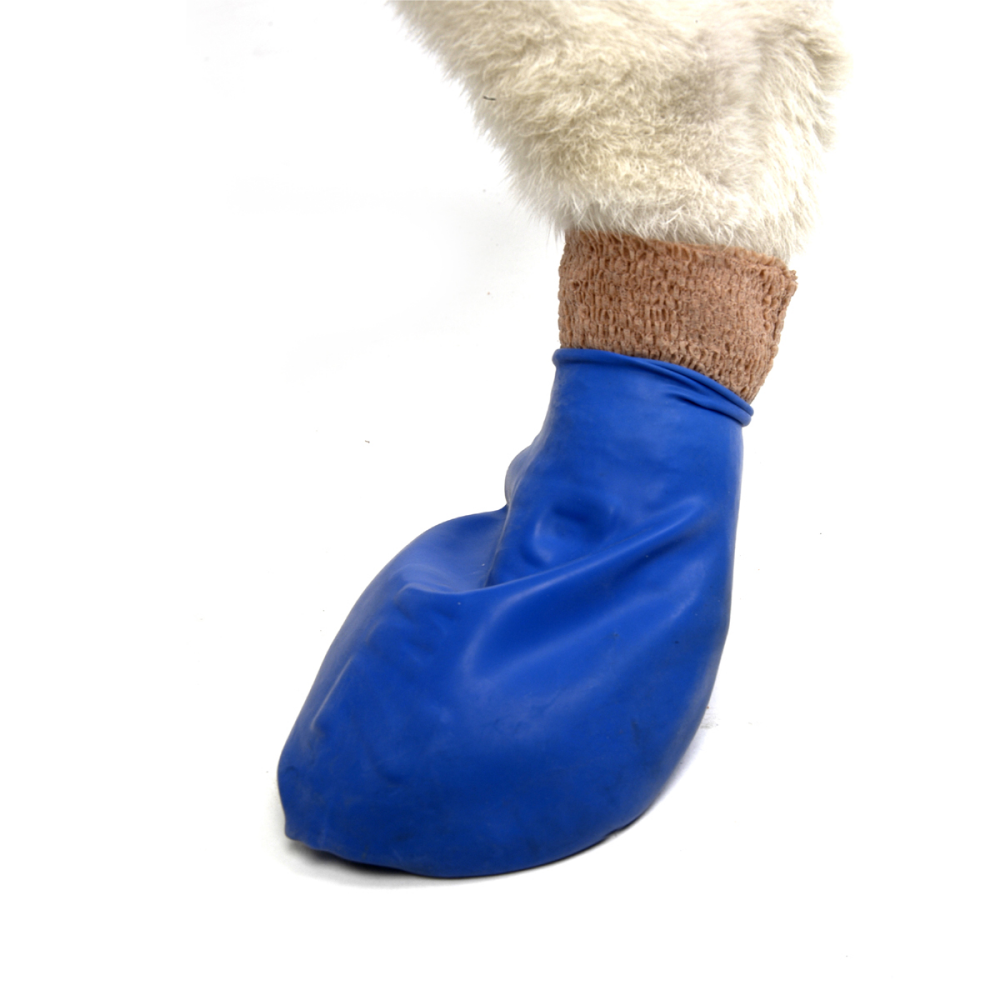 Protex PawZ Disposable and Reusable Boots for Dogs (Blue) image 4
