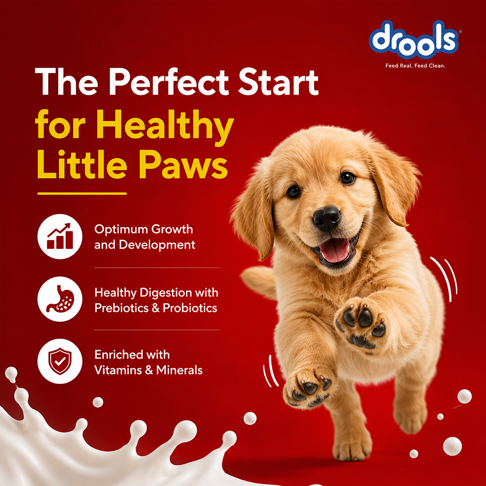 Drools Absolute Milk for Newborn Puppies image 3