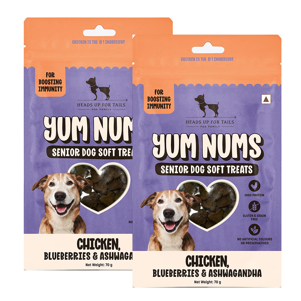 HUFT Yum Nums Grain Free Chicken, Blueberries & Ashwagandha Soft & Chewy Sticks Senior Dog Treats image 9