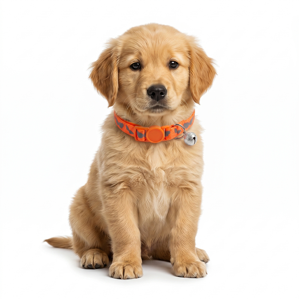 Basil Printed Collar for Cats & Puppies (Orange) image 2