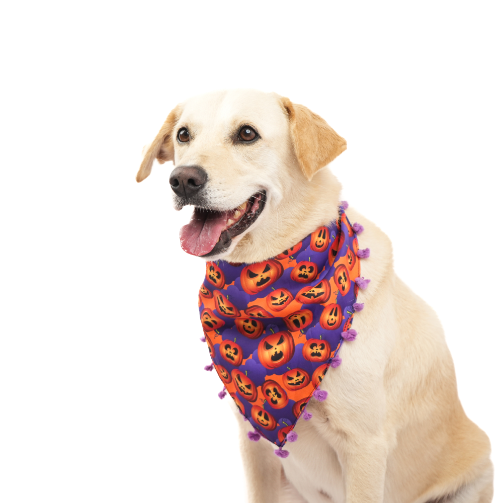 Skatrs Boo tiful Reversible Halloween Bandana for Dogs