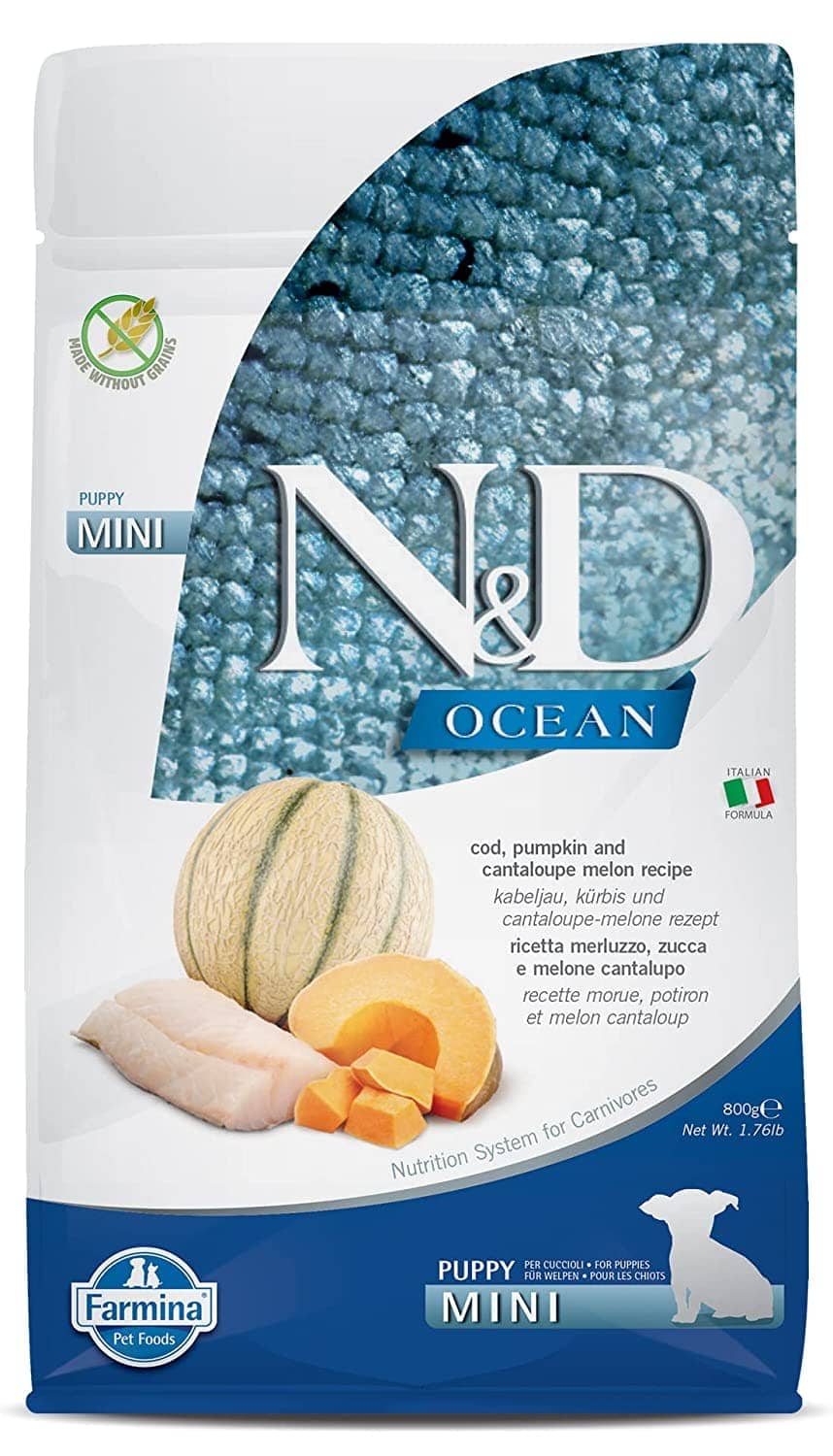 Farmina N&D Ocean Codfish Pumpkin & Cantaloupe Melon Puppy Mini Dry Food image 2