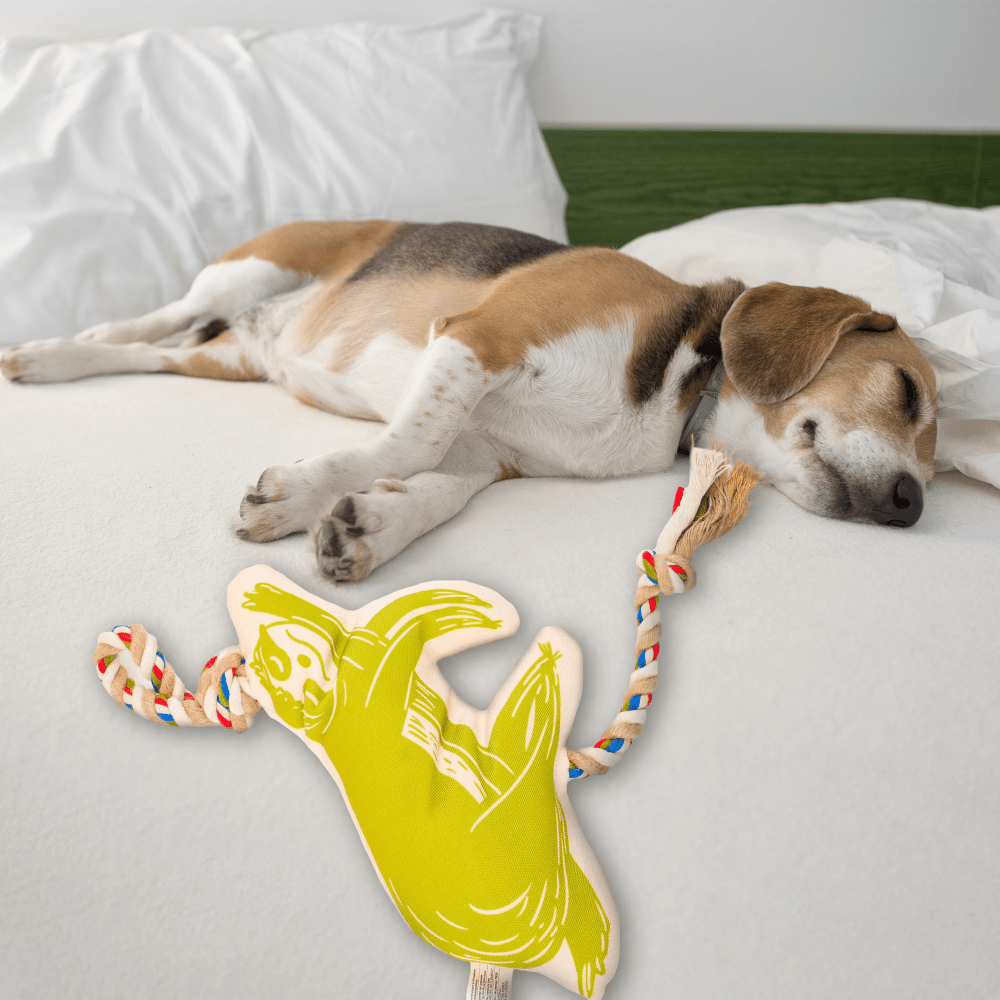 Barkbutler x Fofos Flossy Rope Toy With Sloth for Dogs image 7
