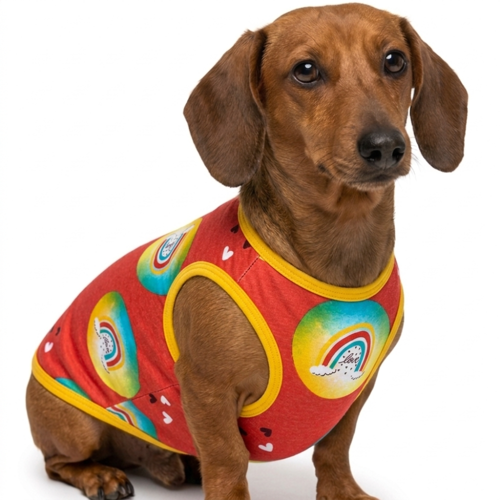 Skatrs Boho Rainbow T-Shirt for Dogs and Cats image 5