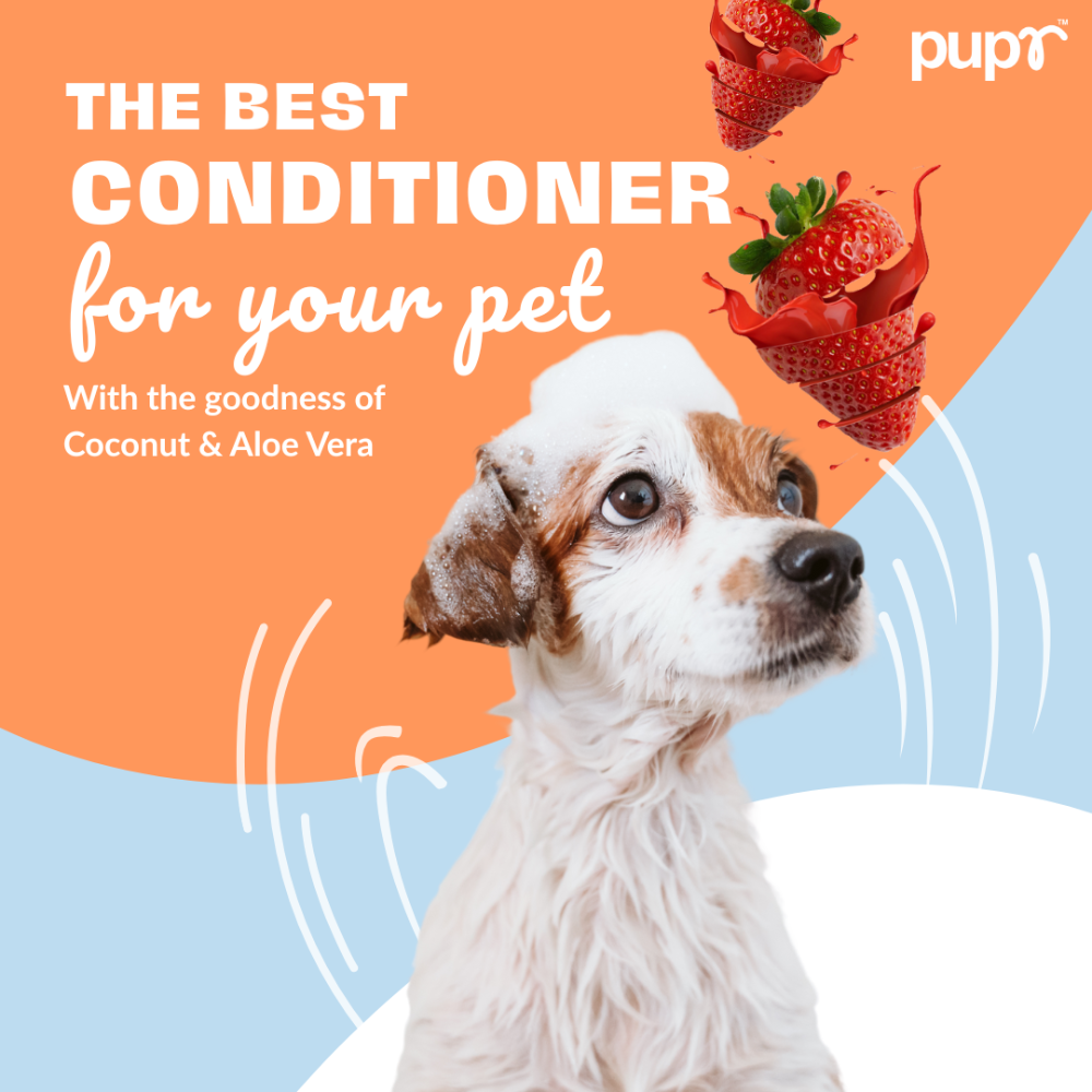 Pupr Moisturizing Strawberry Flavoured Conditioner for Dogs image 2