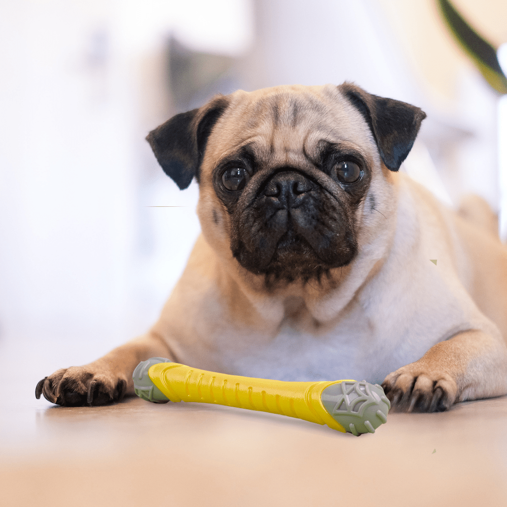 Barkbutler x Fofos Flexy Bone Chew Toy for Dogs image 8