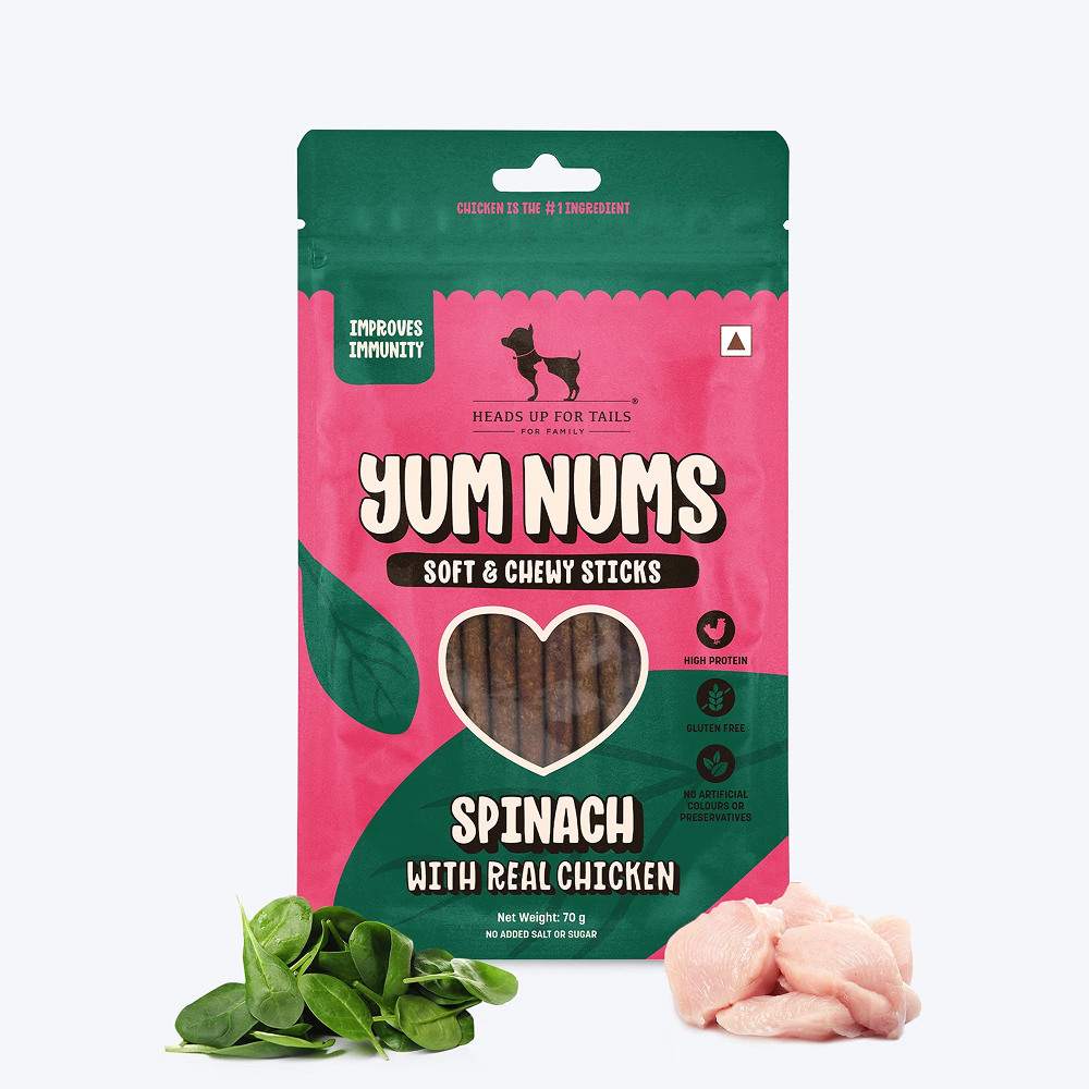 HUFT Yum Nums Soft and Chewy Spinach with Real Chicken Grain Free Stick Treats for Dogs image 1