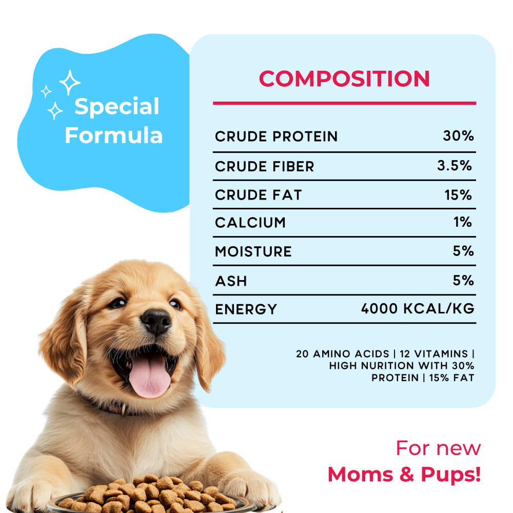 Yummytails Super Premium Mother and Puppy Dry Food | Chicken & Fish Flavor | Corn and Soya Free Formula image 4