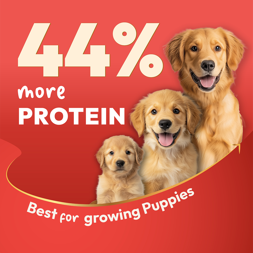 DatGud Chicken & Brown Rice Puppy Dog Dry Food (Buy 1 Get 1 Free) image 6