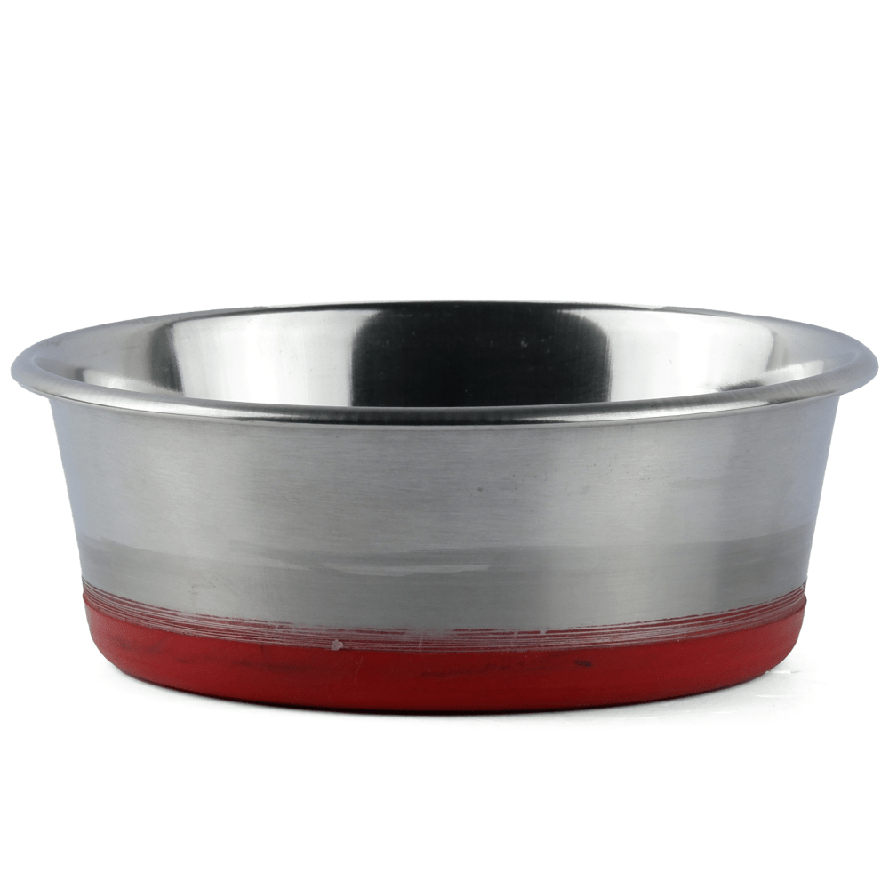 Basil Heavy Dish with Silicon Bowl for Dogs (Maroon) image 2