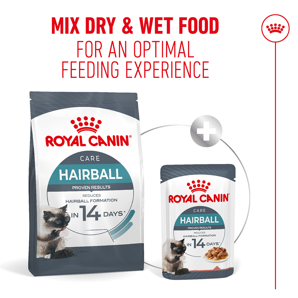 Royal Canin Hairball Care Food for Adult Cat Dry Food image 5