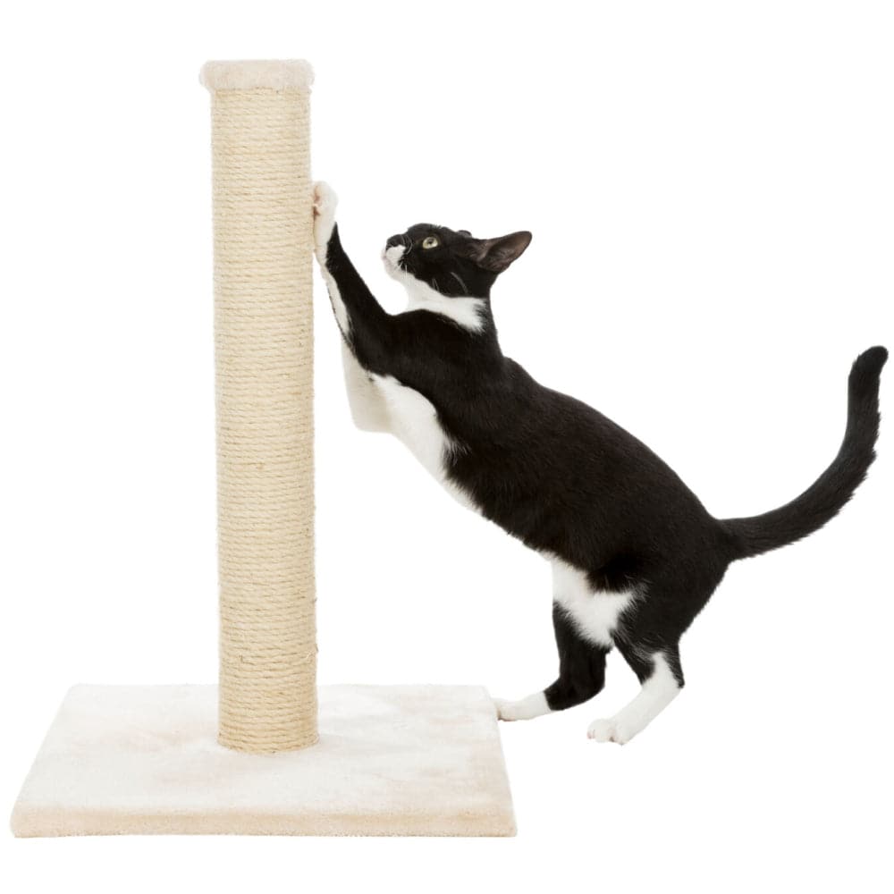 Trixie Parla Scratching Post for Cats (Beige) image 4