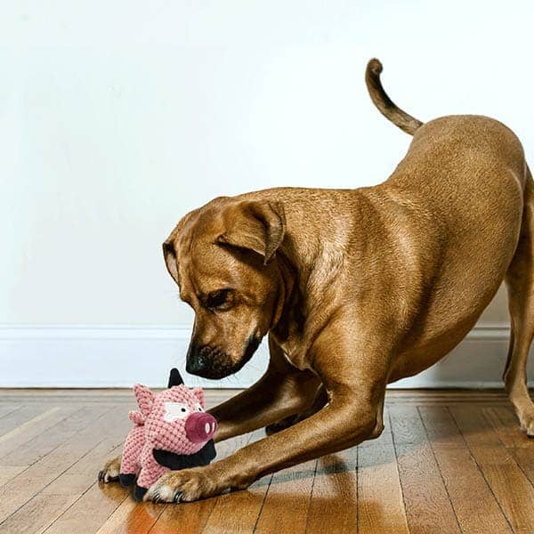 Pawsindia Peppa the Pig Toy for Dogs image 6