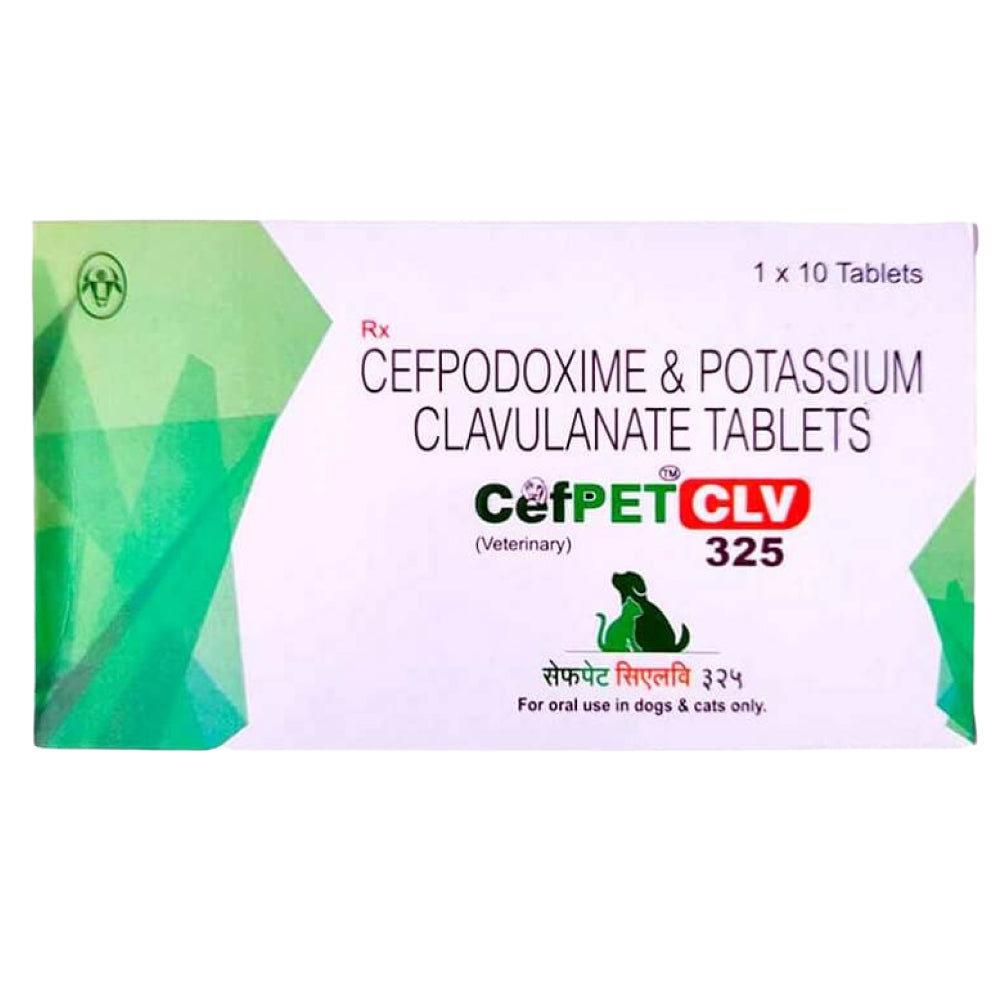 Intas Cefpet CLV 325mg Tablets (Cefpodoxime & Potassium Clavulanate) for Dogs and Cats image 2