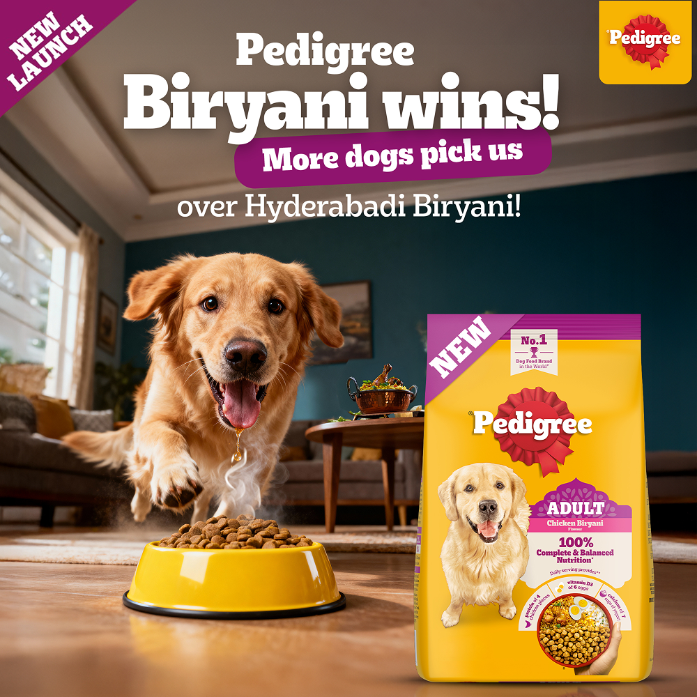 Pedigree Chicken Biryani Flavour Adult Dog Dry Food image 6