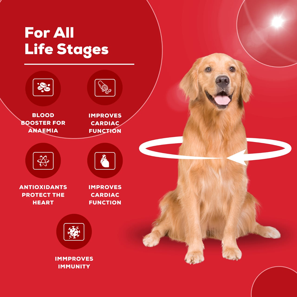 Venttura Ferro Plus Iron Supplements Syrup for Dogs image 5