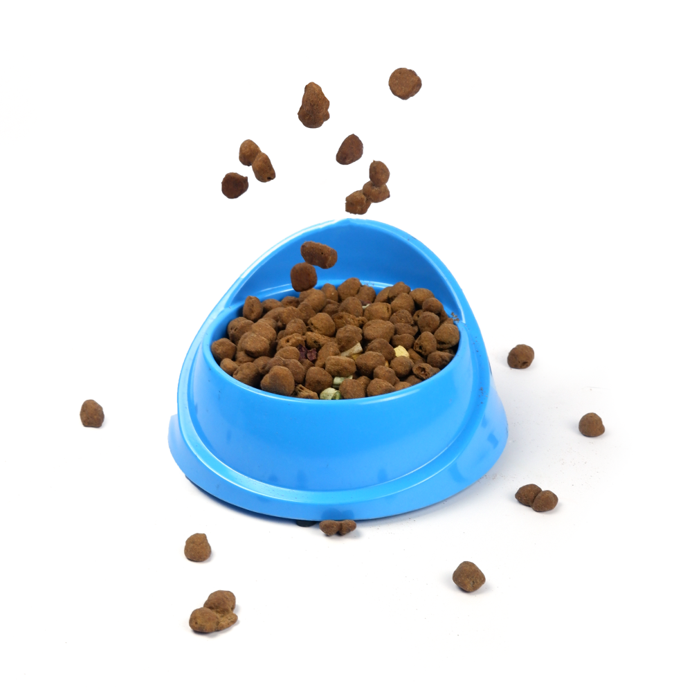 M Pets Single Fashion Diner Bowl for Dogs and Cats (Blue) image 4