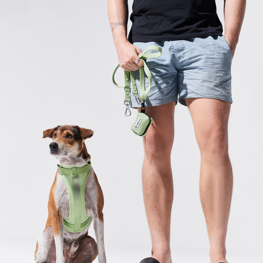 Furry & Co Poop Bag Holder for Dogs (Matcha Latte) image 4
