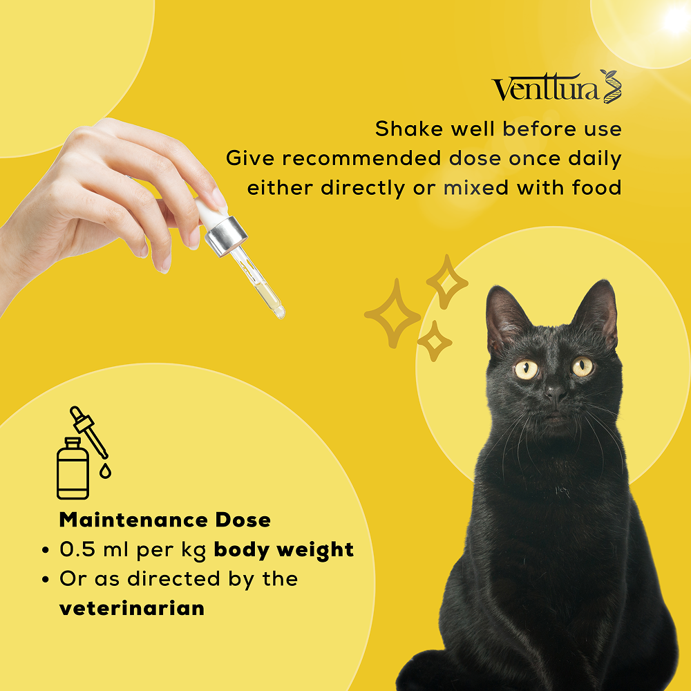 Venttura Liver Repair, Support Recovery & Recuperation Supplement for Cats image 5