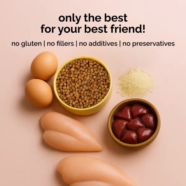 Henlo Baked Chicken Adult and Puppy Dog Dry Food | 100% Human Grade Ingredients image 8