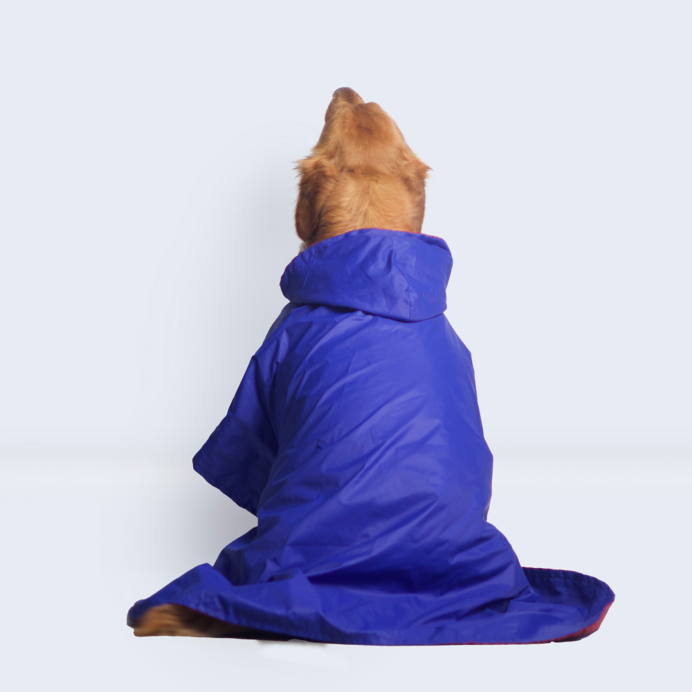 Pet Set Go Cape Style Raincoat for Dogs (Blue) image 8